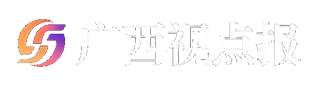 广西视点报